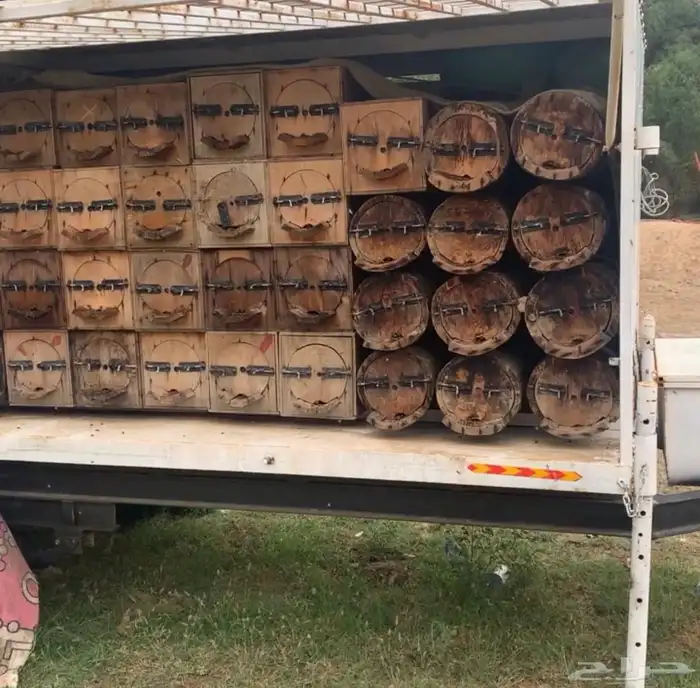 مناحل جبلية 8