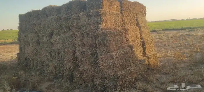 مخلوط بلوبنك 1