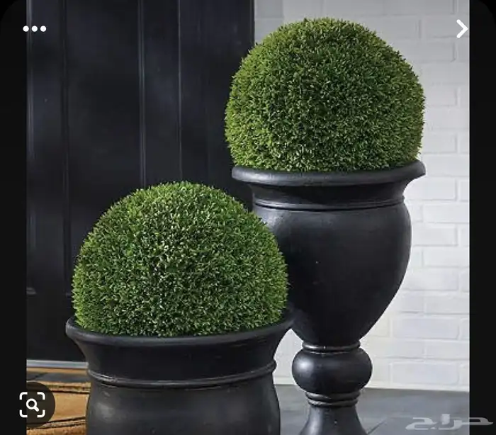 مركن معا احواض زراعيه 59