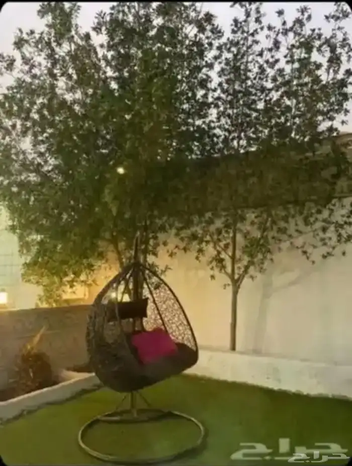 شالية روح وريحان عرض موقت ب 290 ريال فقط 0