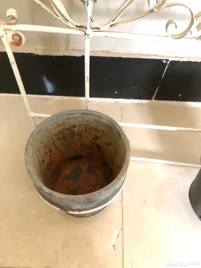 أصيص زرع فرنسي مع حامل  صناعة فرنسية 2