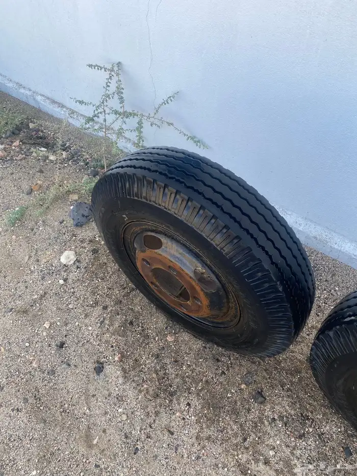 جنوط قلاب او دينا وكاله 8