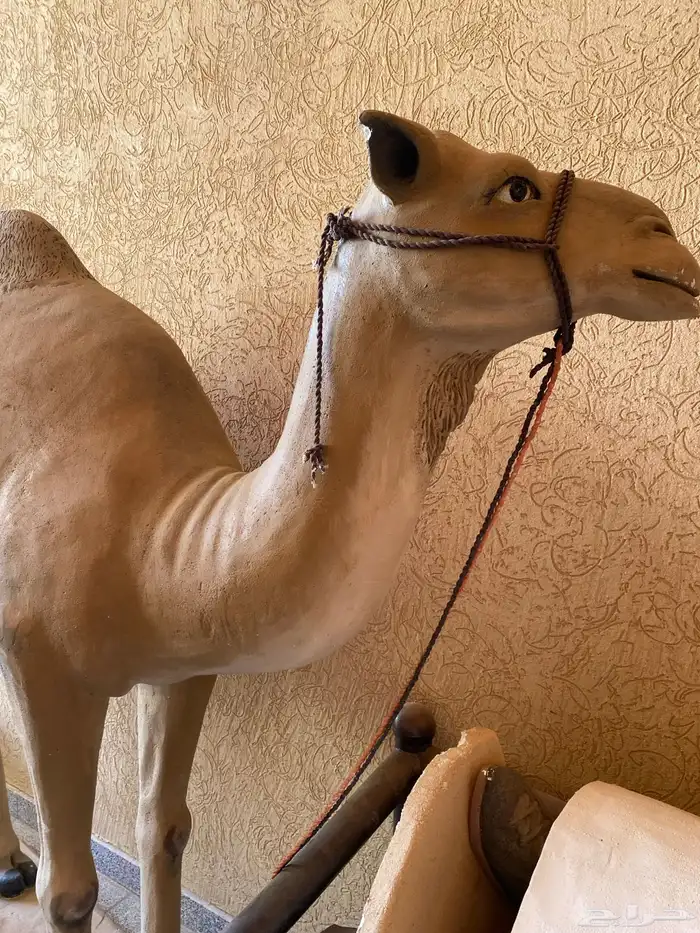 مجسم 1
