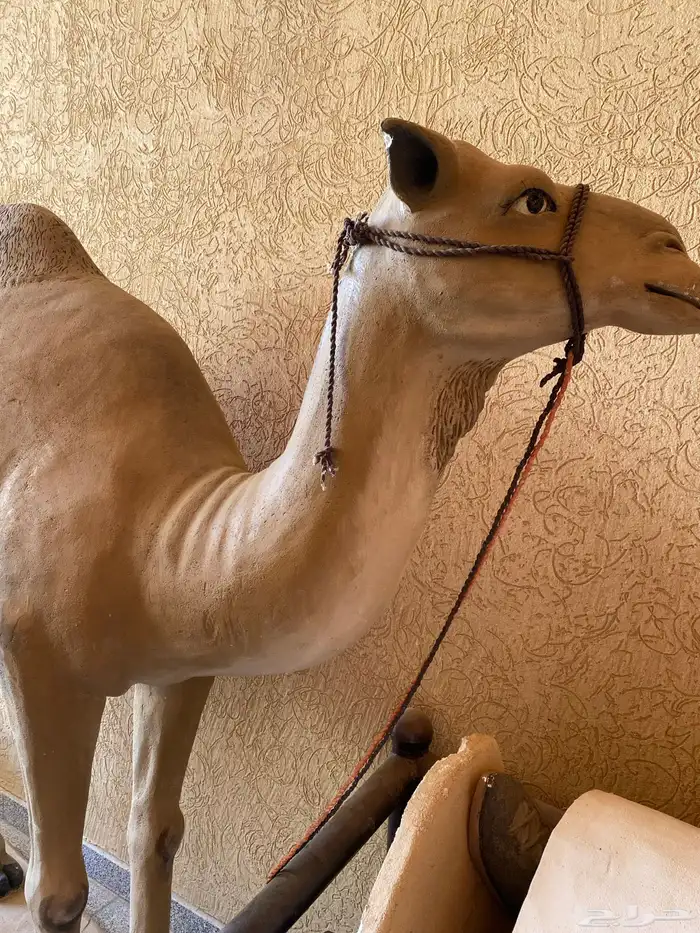 مجسم 0