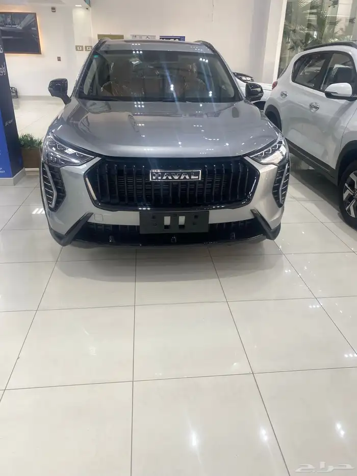 هافال جوليان بيسك موديل 2025 0