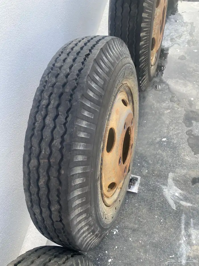 جنوط قلاب او دينا وكاله 14