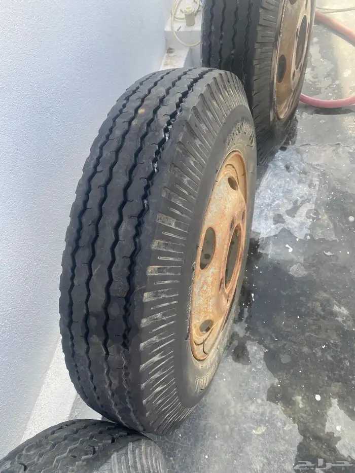 جنوط قلاب او دينا وكاله 15