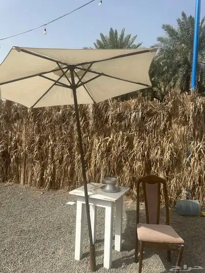 مخيم فئ مزرعه مريح يجود قسم رجال وقسم حريم وبسعر منافس 0