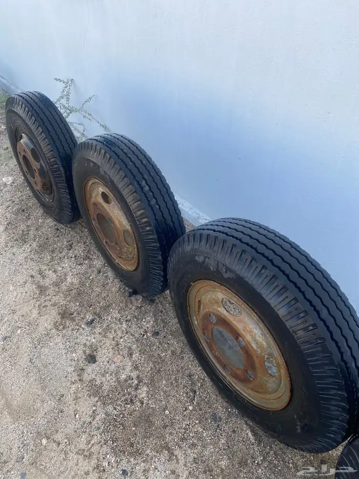 جنوط قلاب او دينا وكاله 3