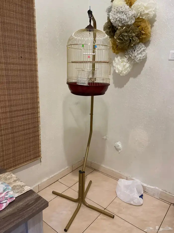 قفص الروز أو اي حيوان ثاني يجي معاه العمود و القفص و أكل 0