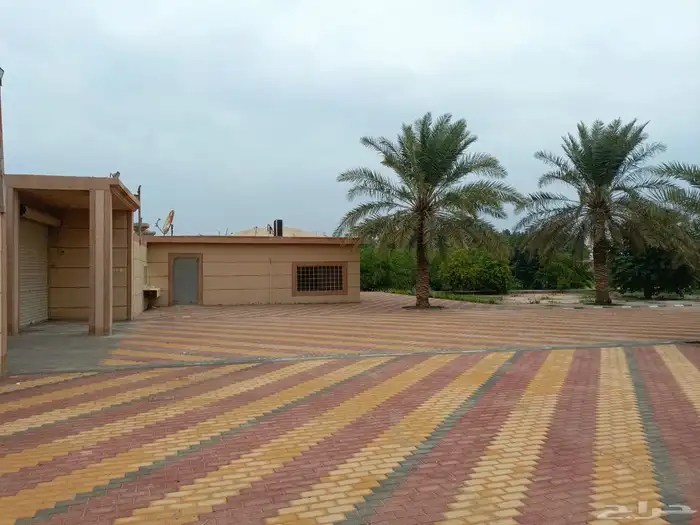 للبيع منتجع مساحة 9600 متر الرويحه صفوى 6