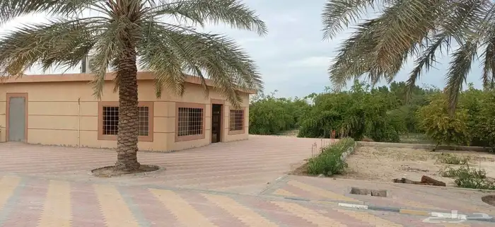 للبيع منتجع مساحة 9600 متر الرويحه صفوى 2