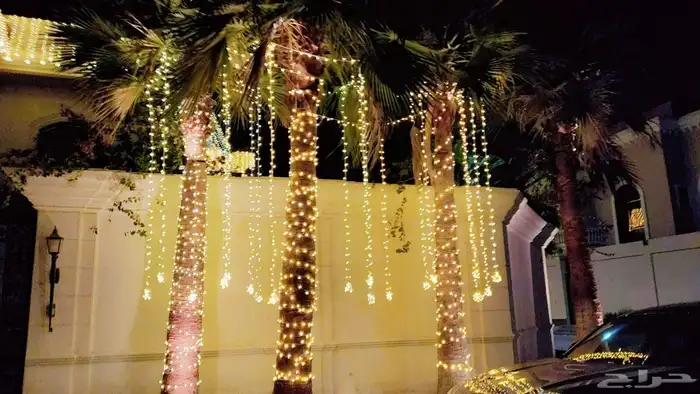 منظم حفلات 0