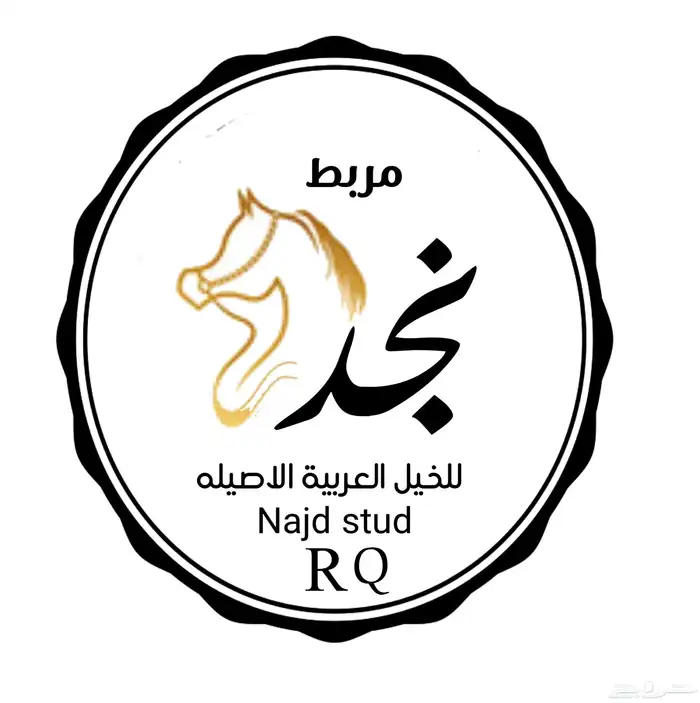 مربط خيل ايواء عسف تدريب 2