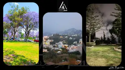 جميع مجالات التصميم الجرافيك   مصمم منذ 2015 22