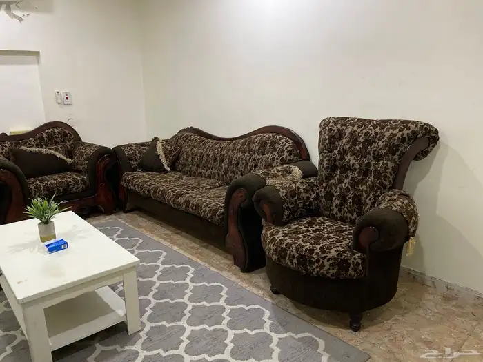 كنبات في حالة ممتازة 2