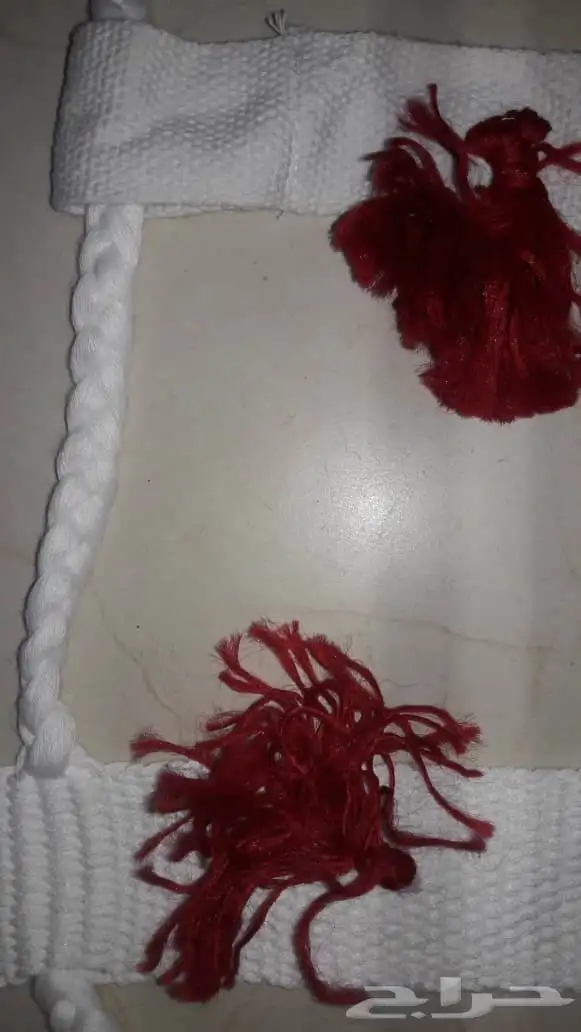 جنايب ومراير إبل وشبك بالجملة 15