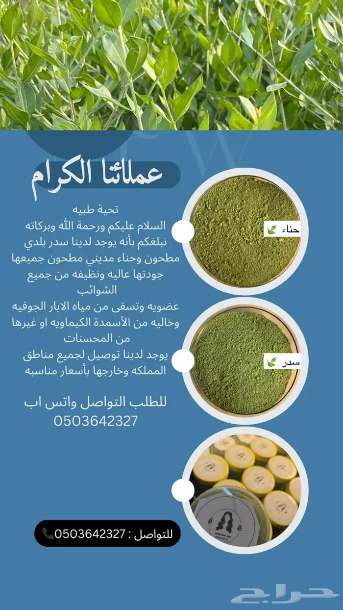 سدر بلدي و حناء مديني 7