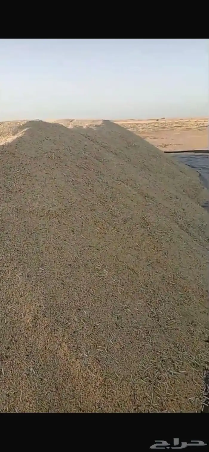 شعير سداسي للبيع 150 طن 1