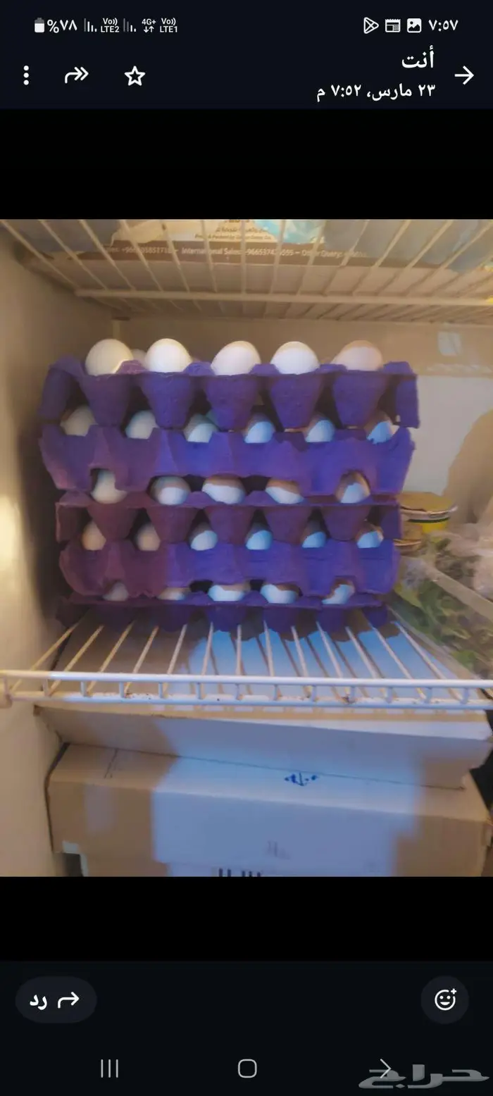للبيع بيض بلدي وتمر خلاص 2
