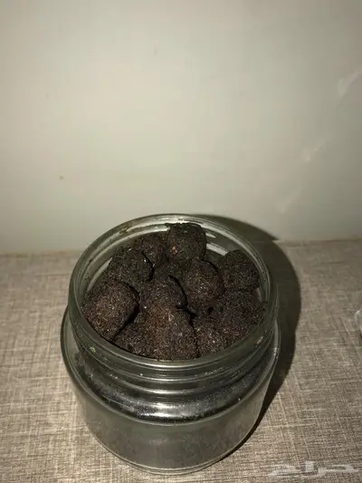 معمول دوسري فاخر 1