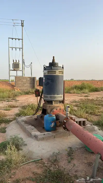 فرصة استثمارية مزرعة للبيع 2