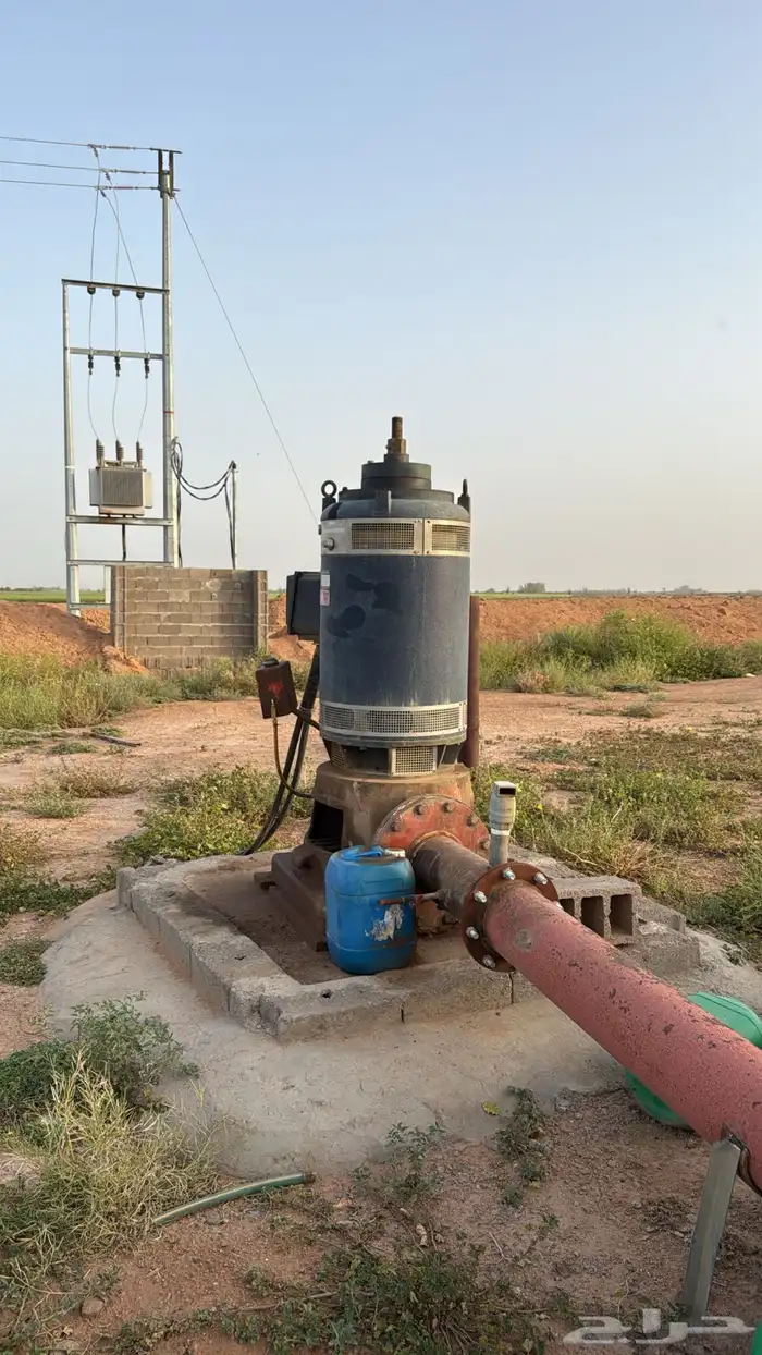 فرصة استثمارية مزرعة للبيع 2