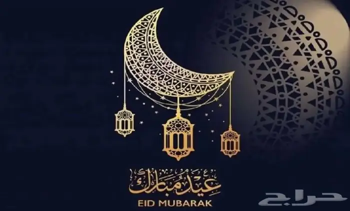 استضافة وفندقة طيور 0