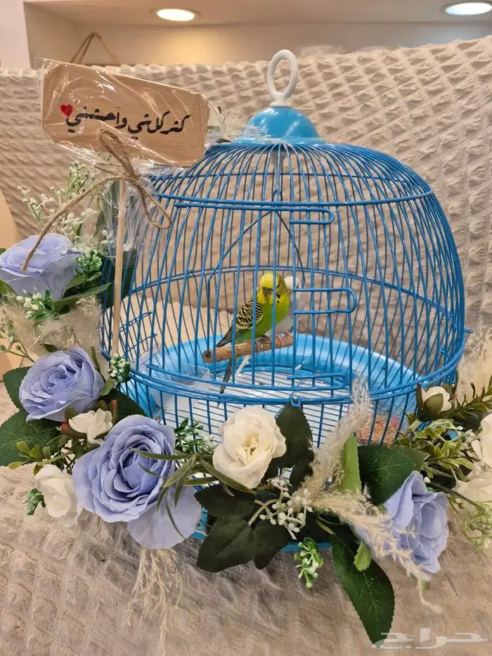 جدة 3