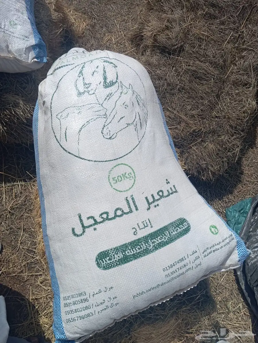 للبيع غزل (صوف) غنم نعيمي 2