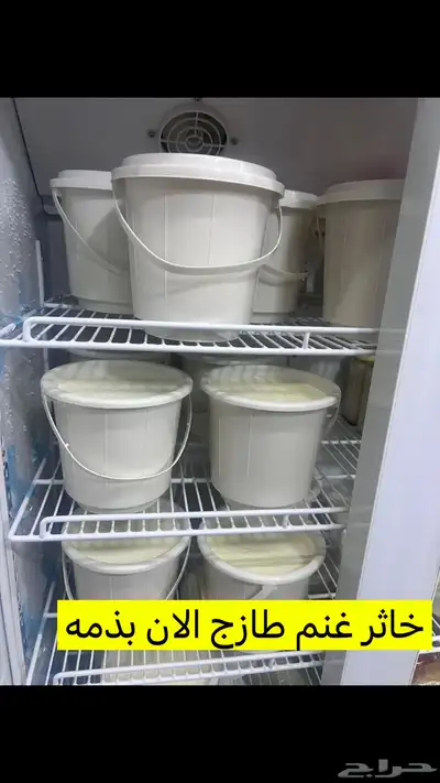 لبا غنم مطبوخ حياكم الله السطل 40 9