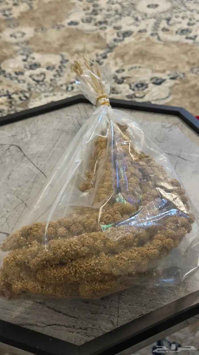 مستلزمات الطيور 8