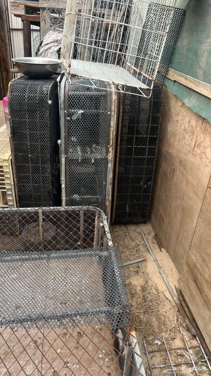 شبوك طيور لنقل للبيع 0
