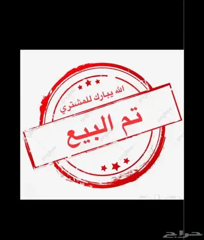 دجاج رومي 9