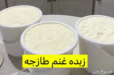 لبا غنم مطبوخ حياكم الله السطل 40 10