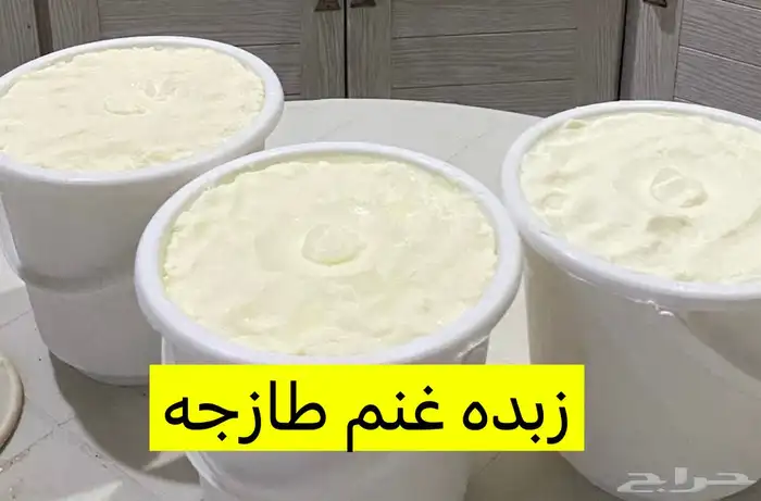 لبا غنم مطبوخ حياكم الله السطل 40 10