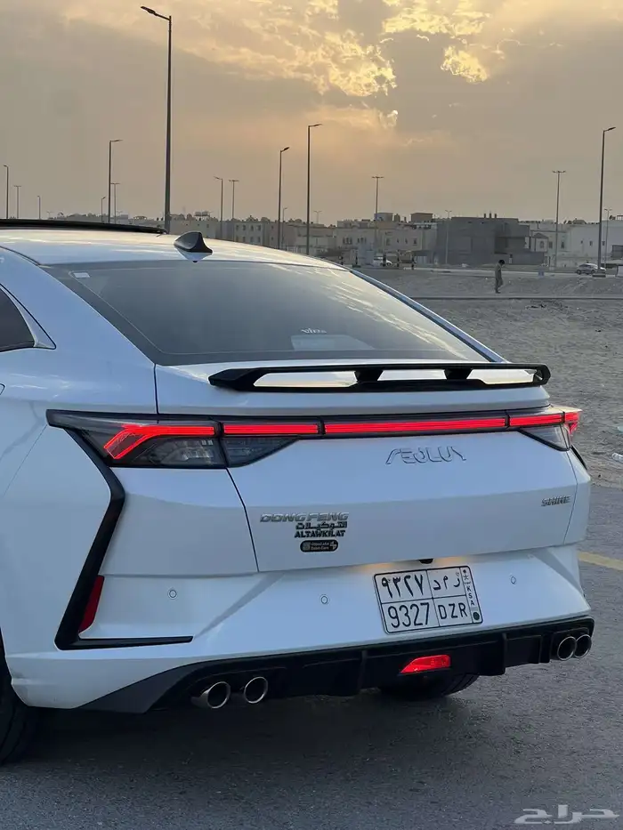 للبيع دونج فينج شاين سبورت 2024 9