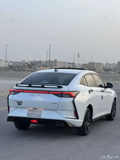 للبيع دونج فينج شاين سبورت 2024 11