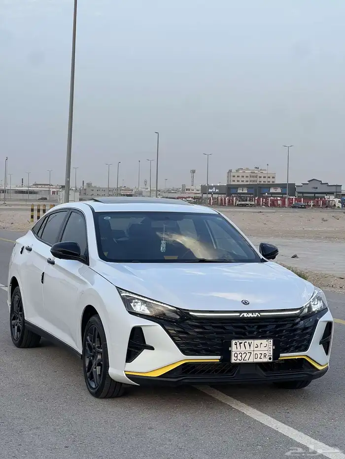 للبيع دونج فينج شاين سبورت 2024 6