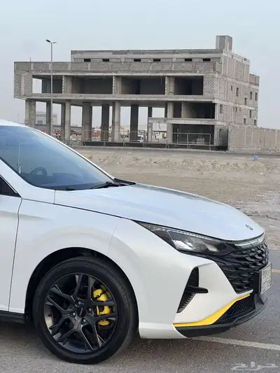 للبيع دونج فينج شاين سبورت 2024 14
