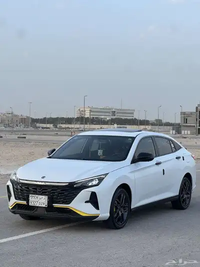للبيع دونج فينج شاين سبورت 2024 1