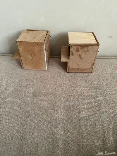 أعشاش زيبرا أو جاو 4