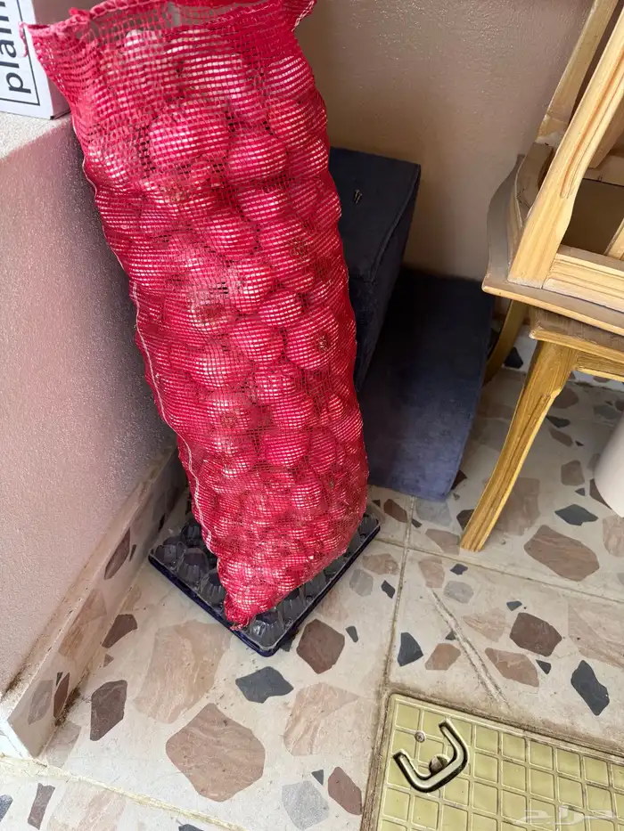 ثوم بلدي كفو وشي نظيف 2