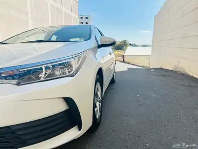 كورولا 2019 مخزنة 19