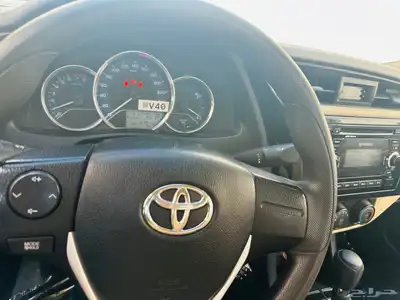 كورولا 2019 مخزنة 12