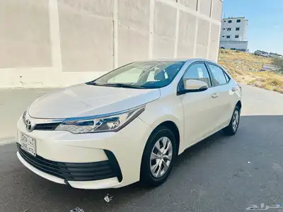 كورولا 2019 مخزنة 0