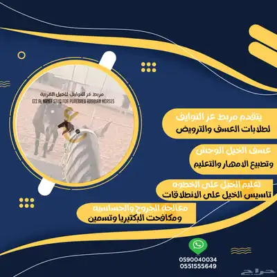 عسف خيل 0