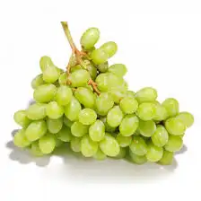 شتلات عنب بناتي 0