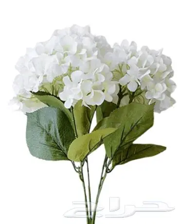 ورد صناعي 24