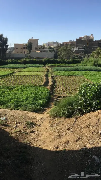 ارض زراعيه مساحة 5180 م 3